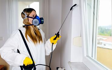 Pest Control Services in Lucknow